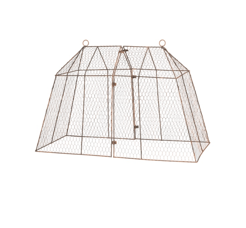 Large Marquee Cloche