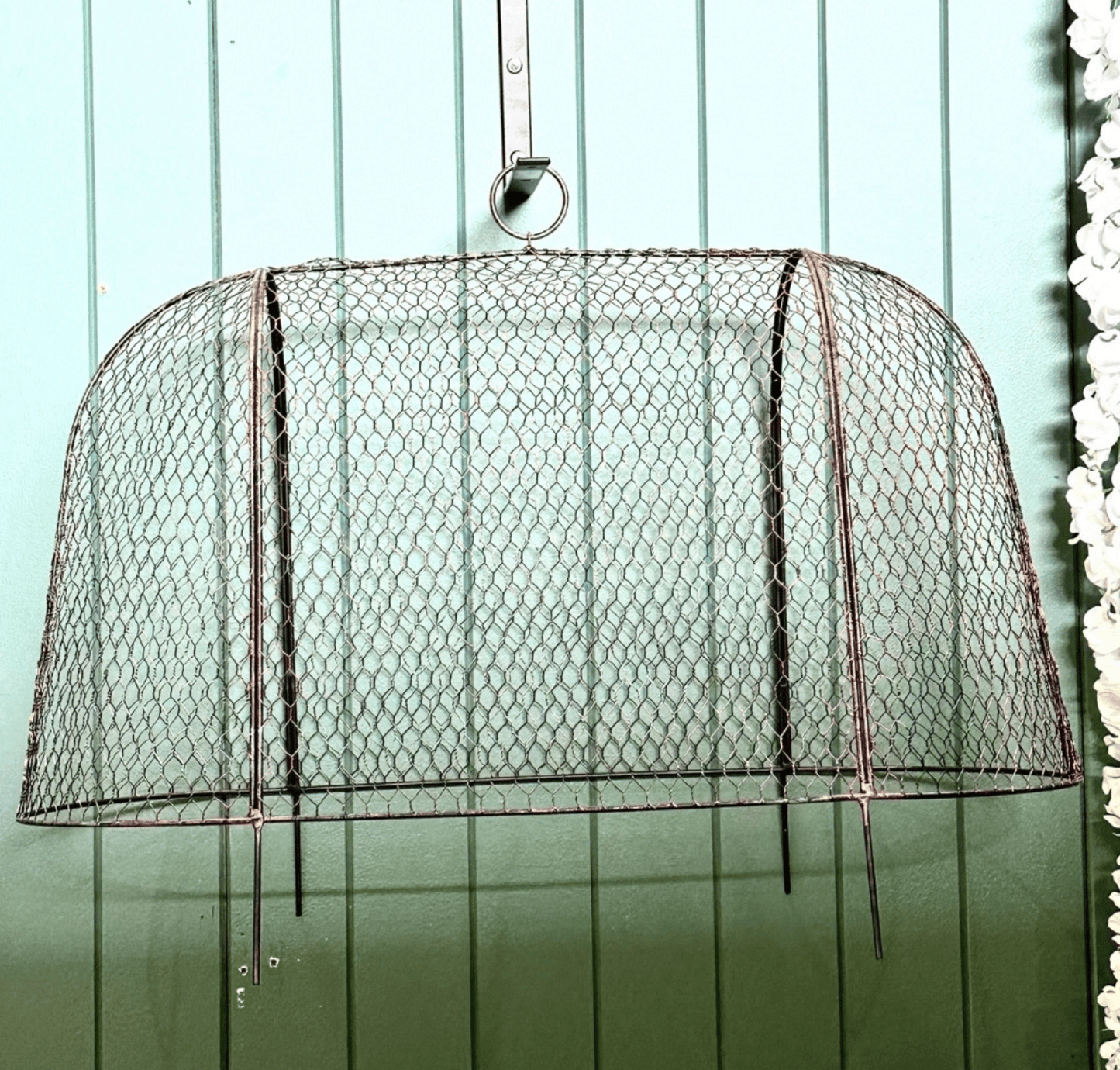 Cloche House - Oval
