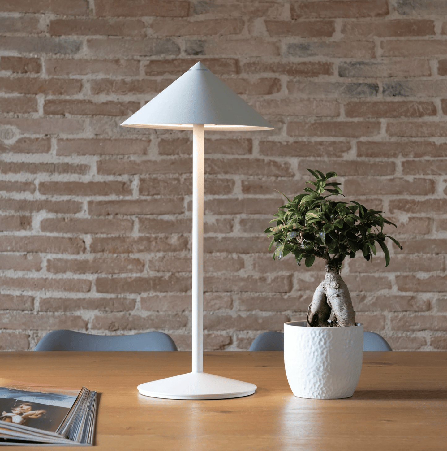 Rechargeable LED Desk Lamp