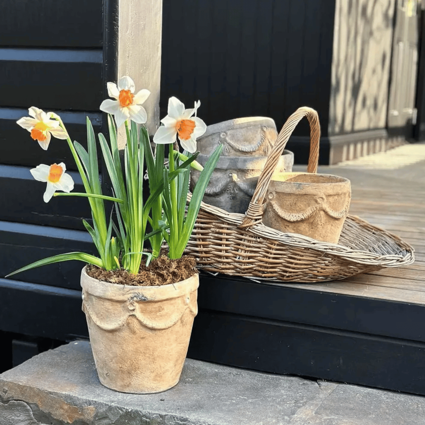 Rattan Trug