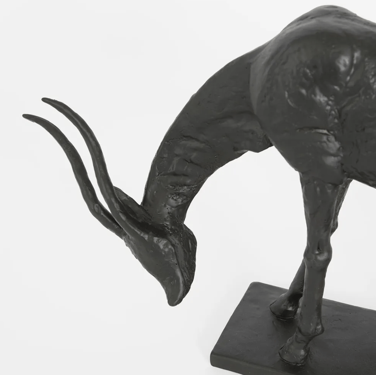 Obsidian Antelope