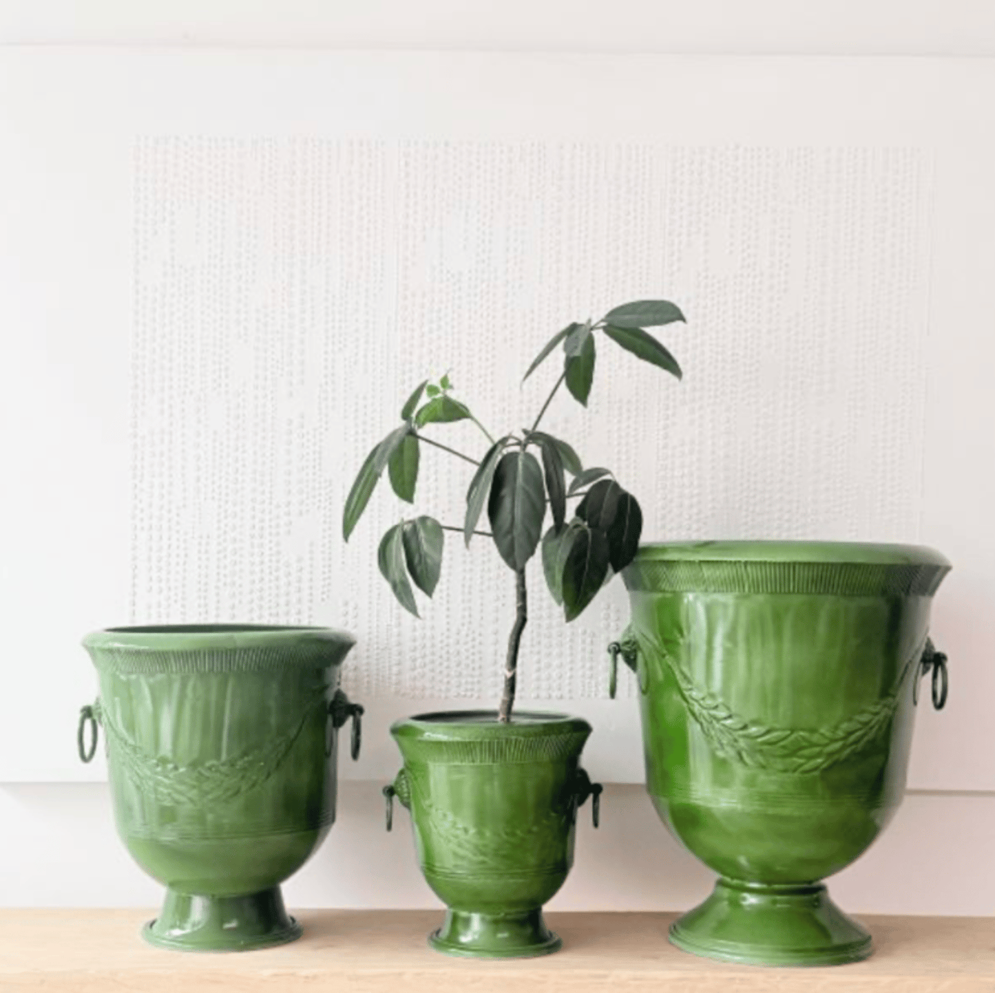 Verdant Laurel Urn Planters