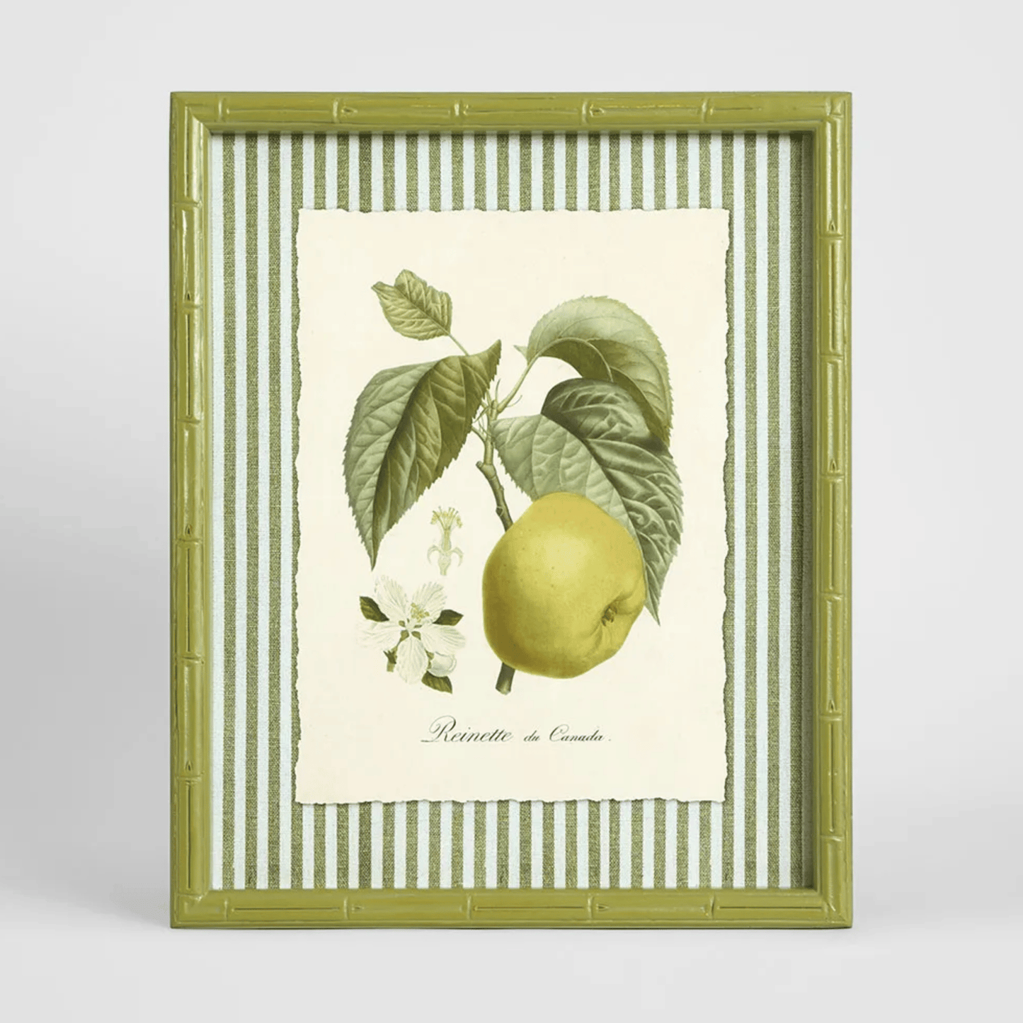 Apple Study Wall Art