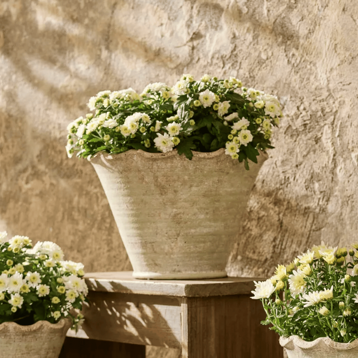 Scalloped Wave Planter Pot