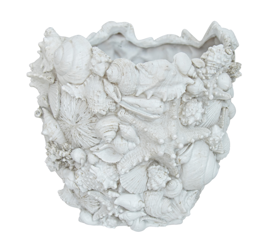 Barnacle Shell Pot