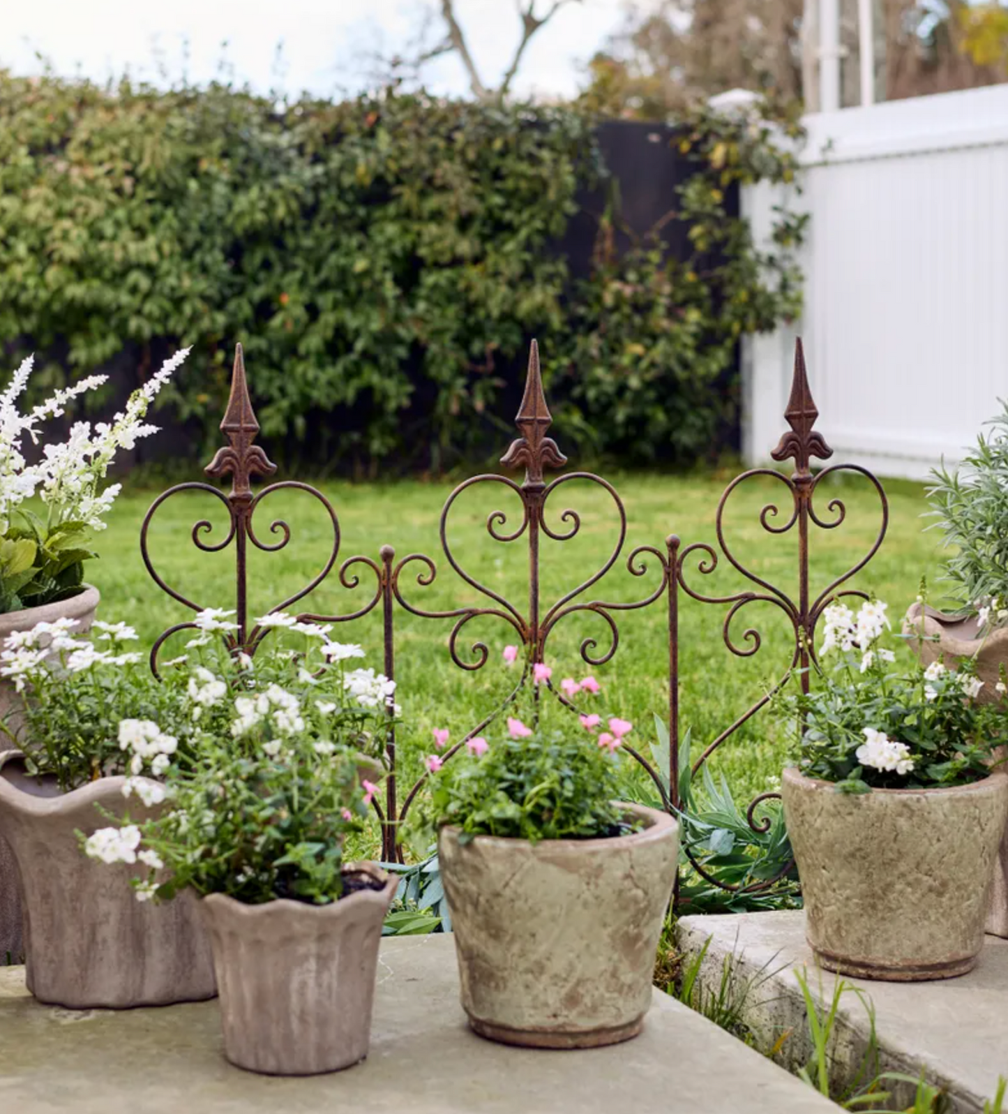 Decorative wrought iron garden fence panels with pointed tops and scrollwork, displayed in a garden setting with potted plants in the foreground.