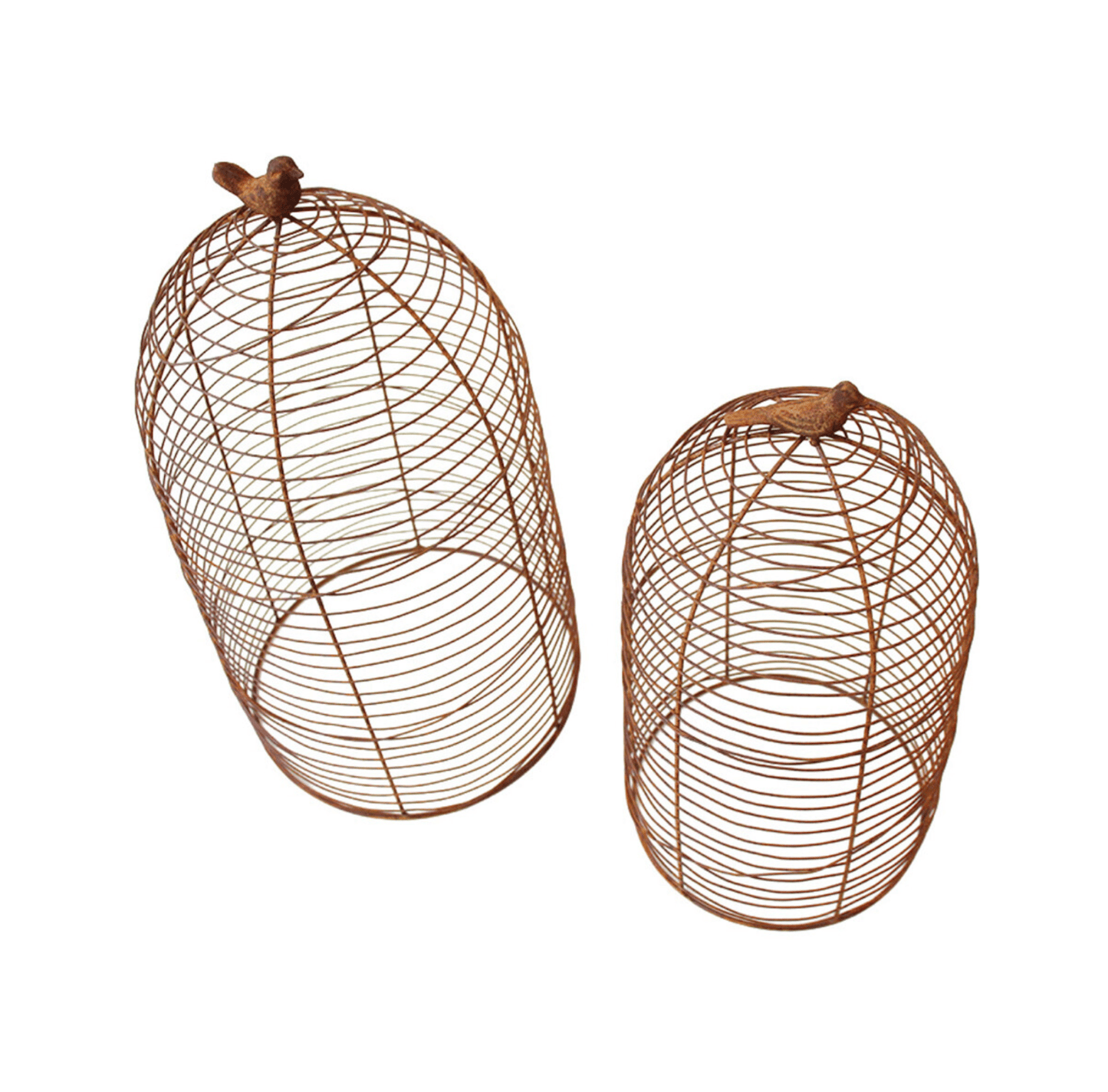 Bird Garden Cloche Set
