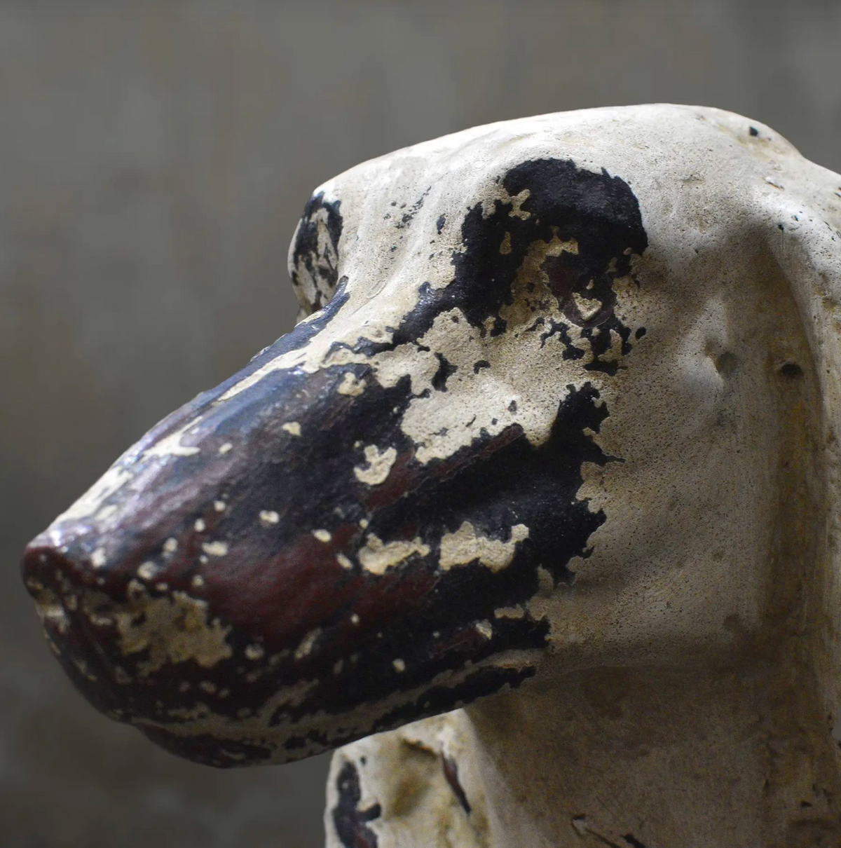 Dog bust on black plinth, front three-quarter view