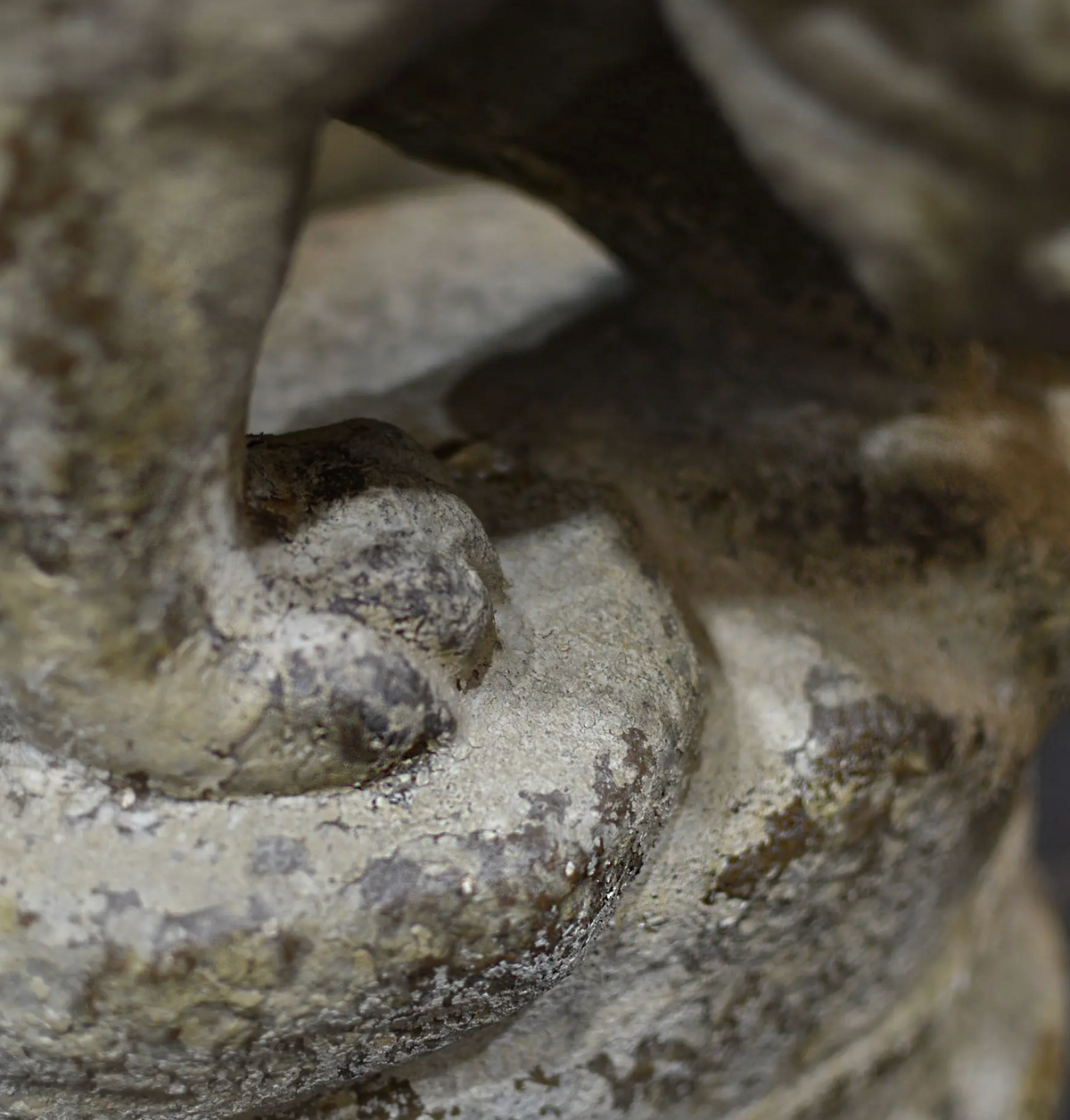 Close-up of the lion statue's front paw and textured base