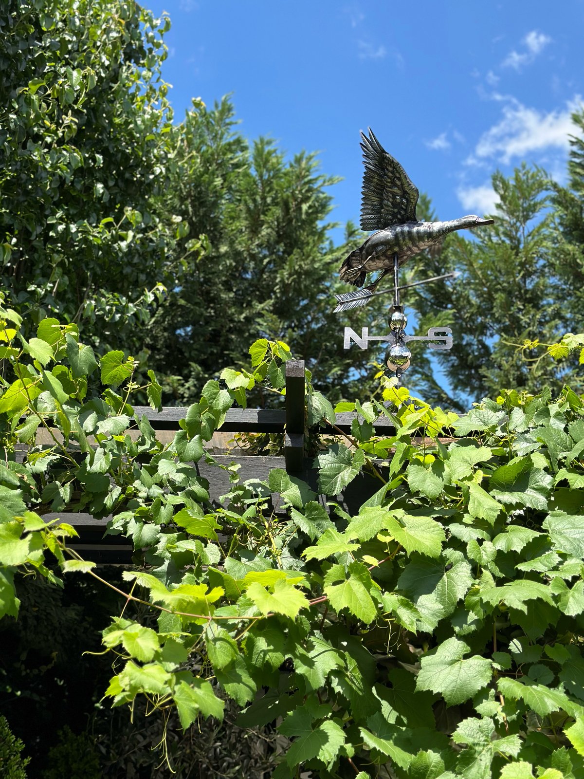 Duck Weather Vane