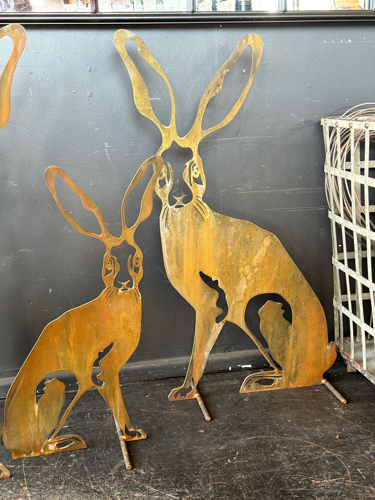 Harolds hare - HAROLDS