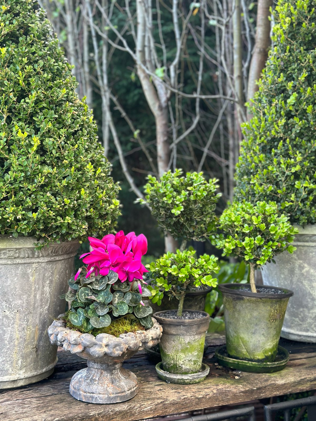 Aged Patina Low Planter