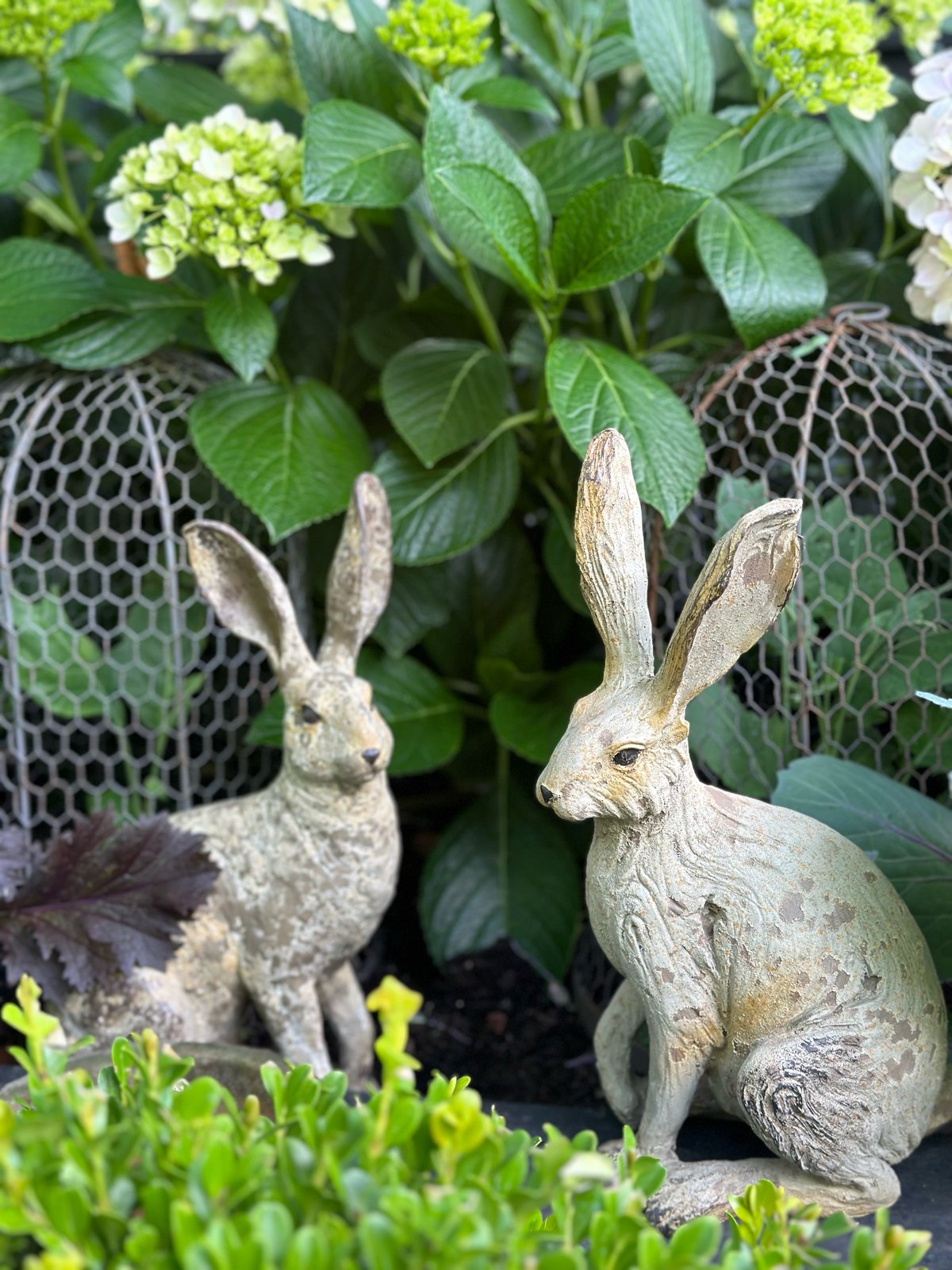 Patina Hare