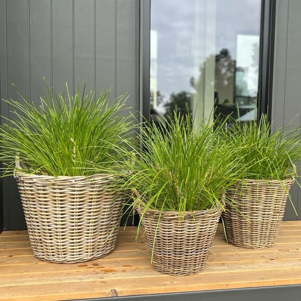 Harolds Signature Basket - Lined Tapered
