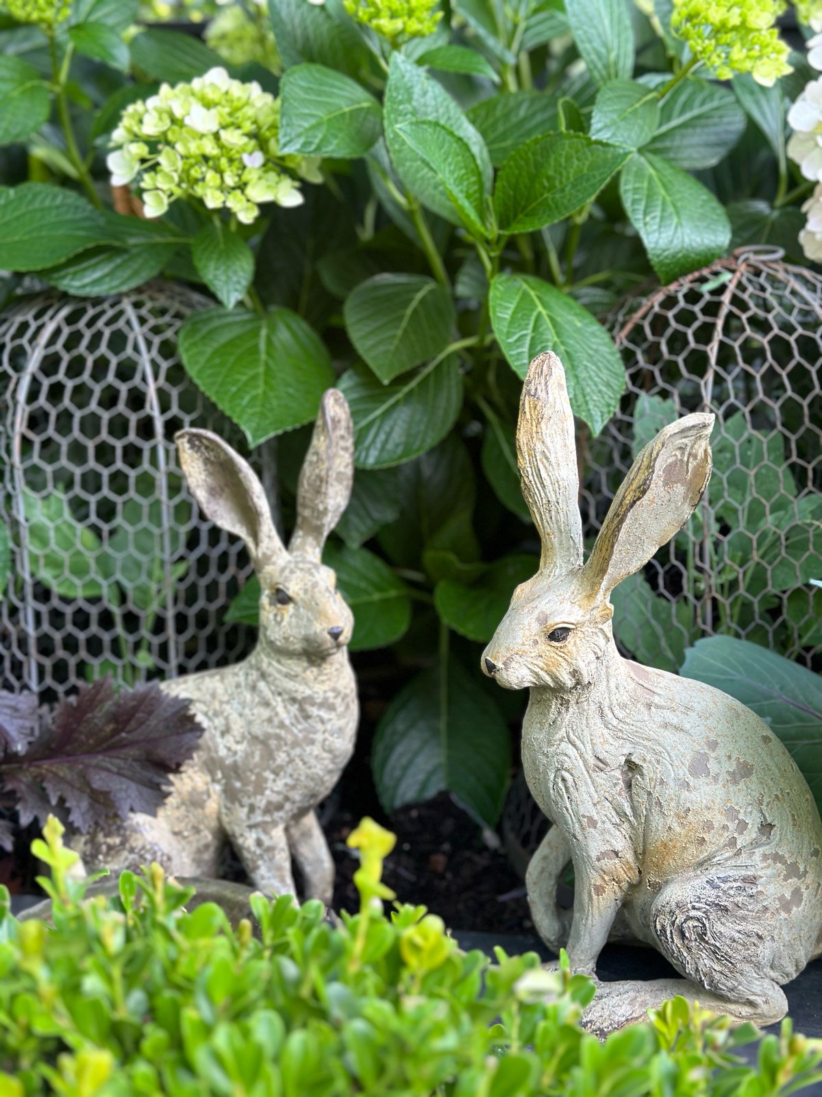 Sitting Hare with Raised Paw