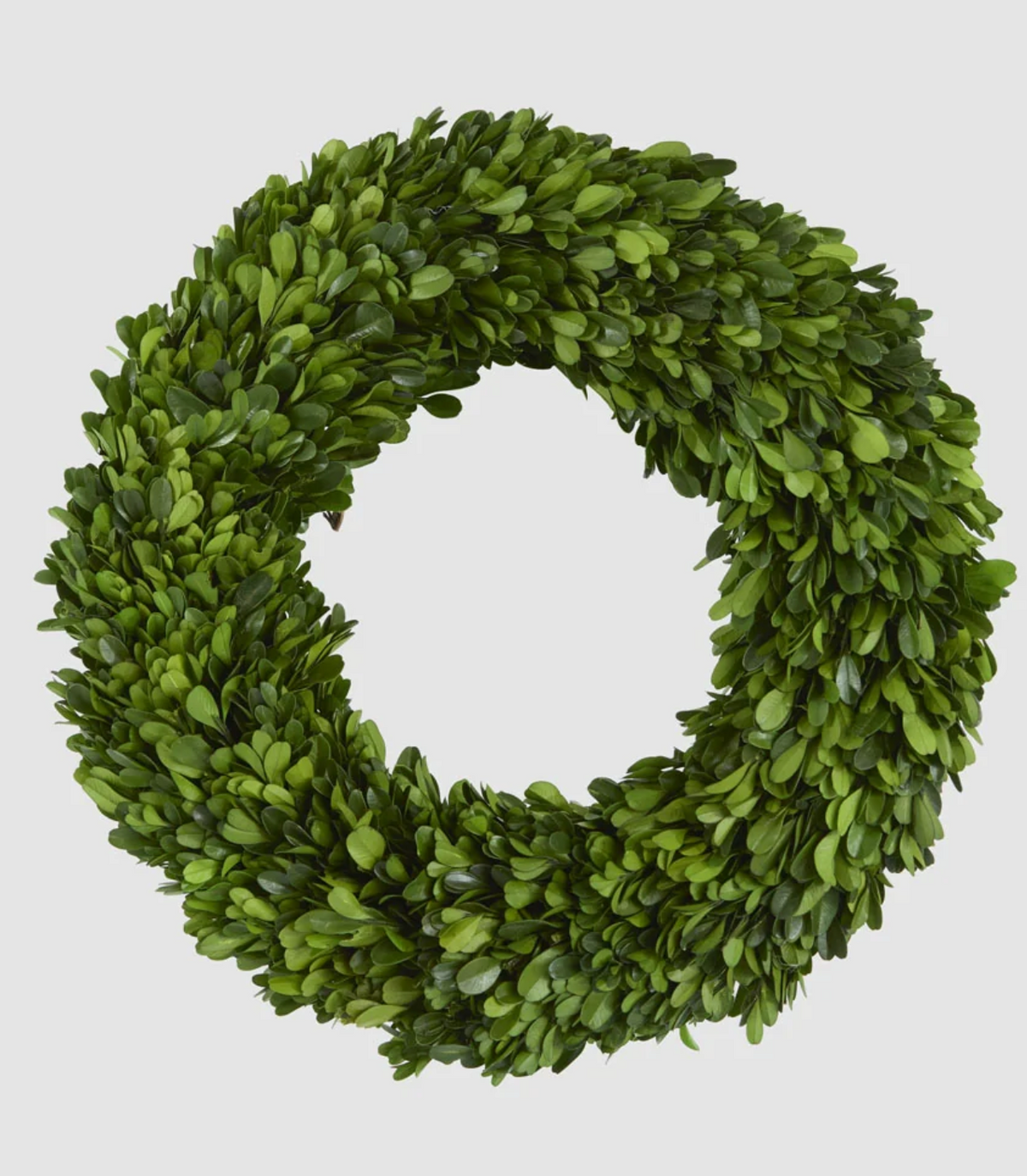 35cm preserved boxwood wreath with layered green foliage