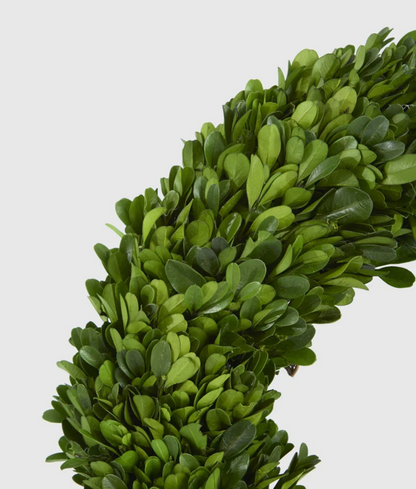 Reverse of 35cm boxwood wreath showing rattan backing