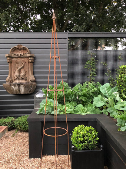 Rust Metal Growing Frame - Pair