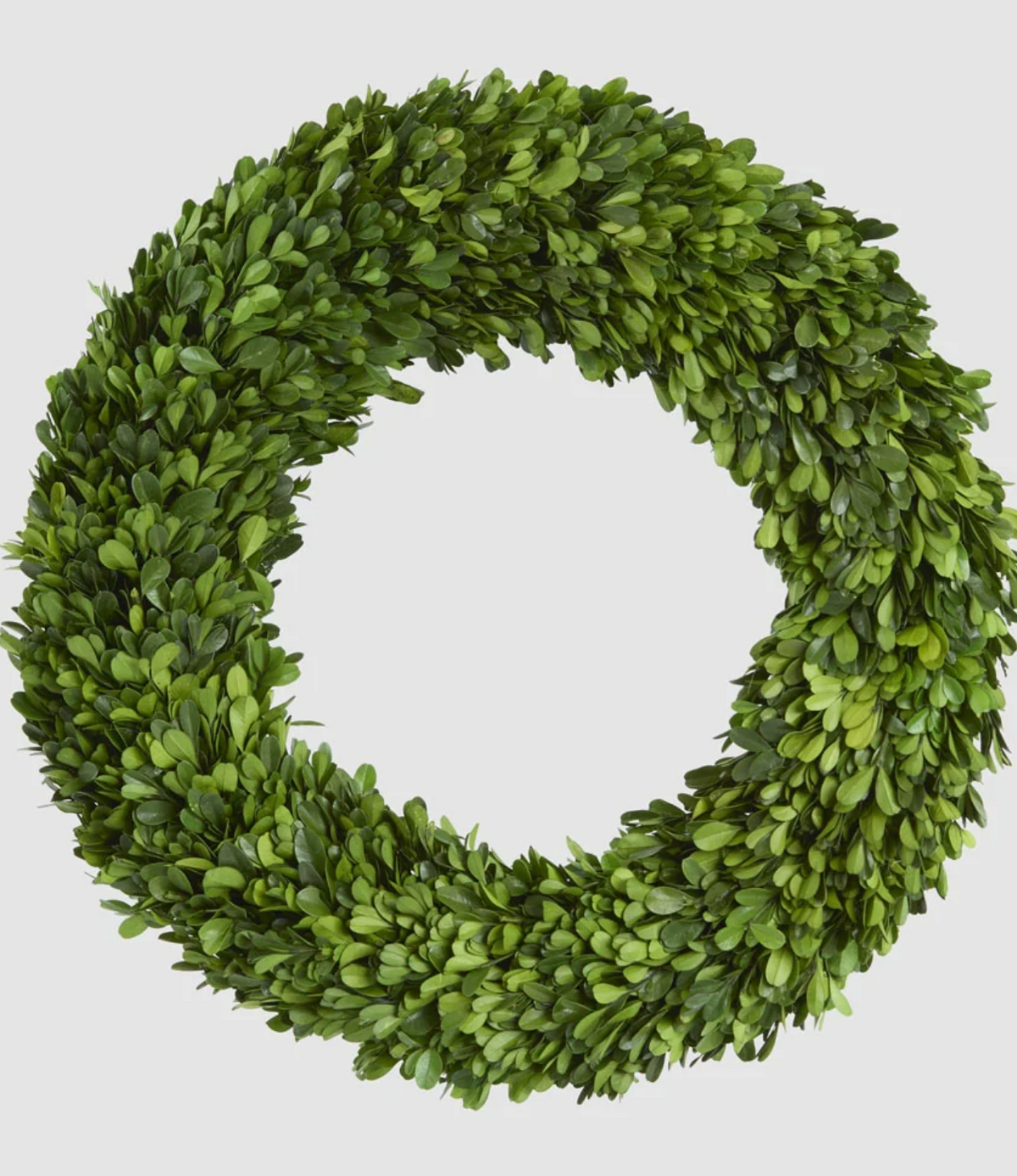 Reverse of 45cm preserved boxwood wreath with rattan backing
