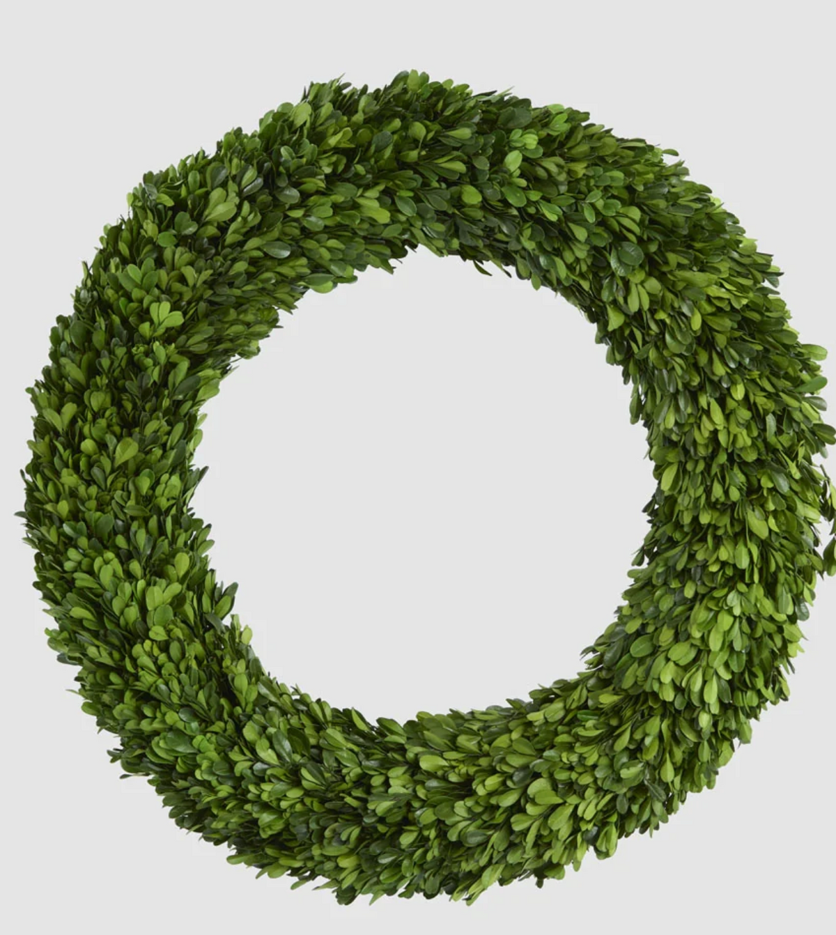 60cm preserved boxwood wreath with green foliage