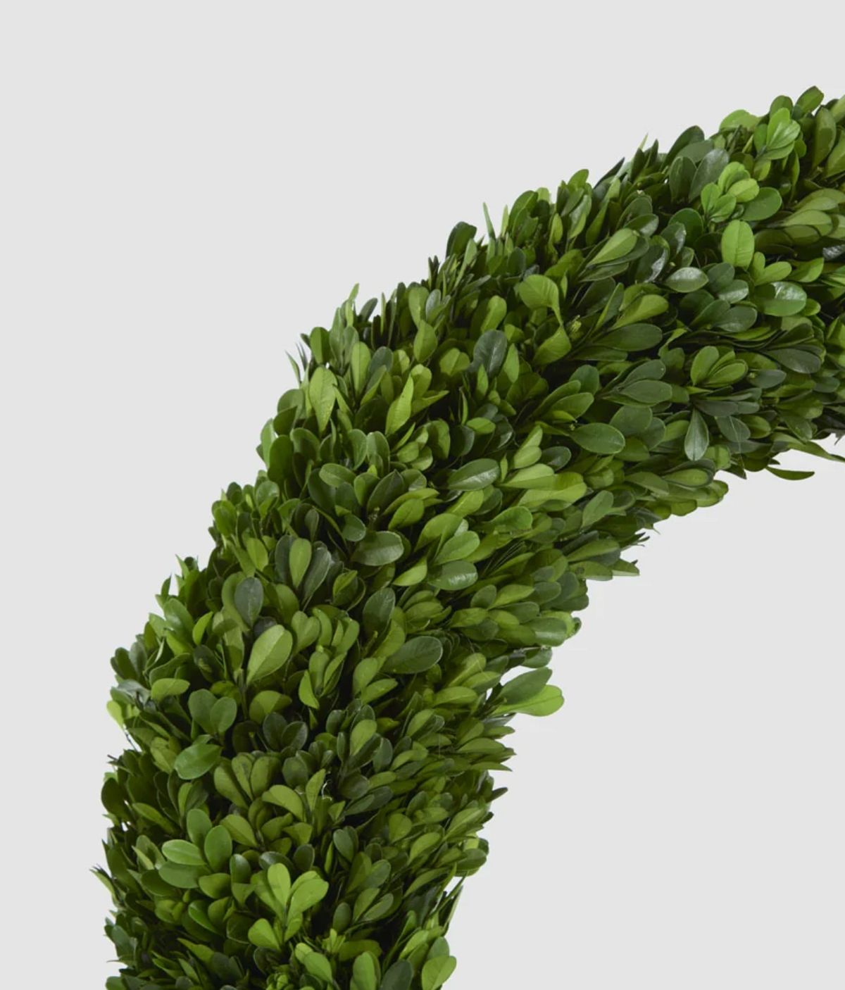 Reverse of 60cm boxwood wreath showing woven backing