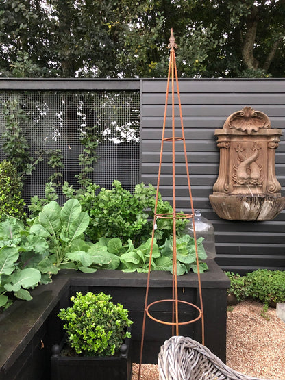 Rust Metal Growing Frame - Pair