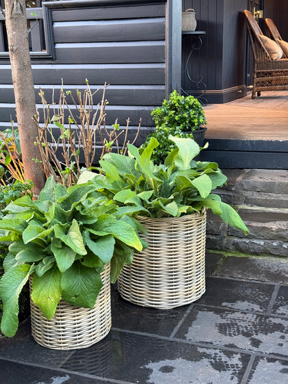Rattan Storage Basket