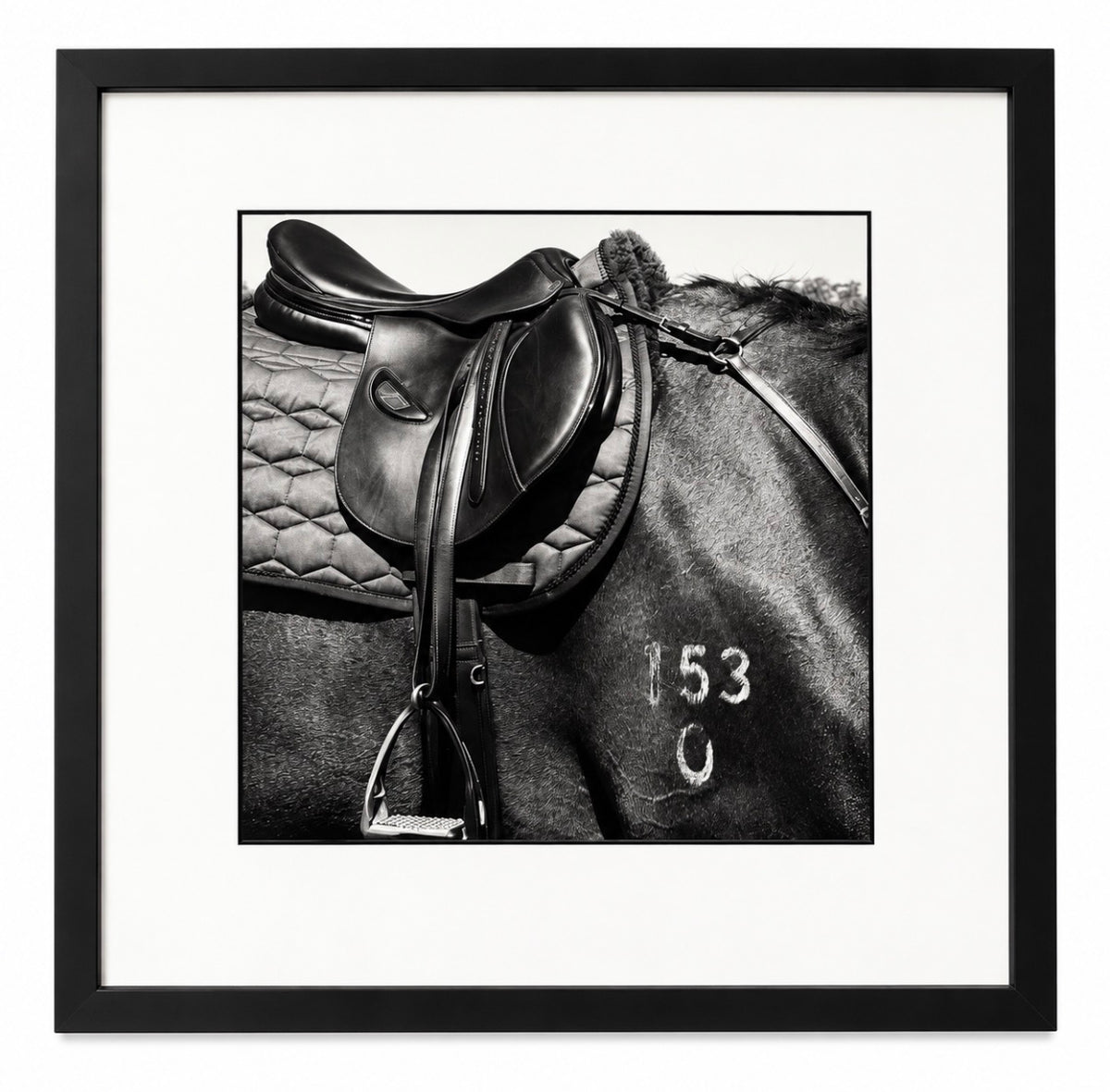 153 by Sue Olliver