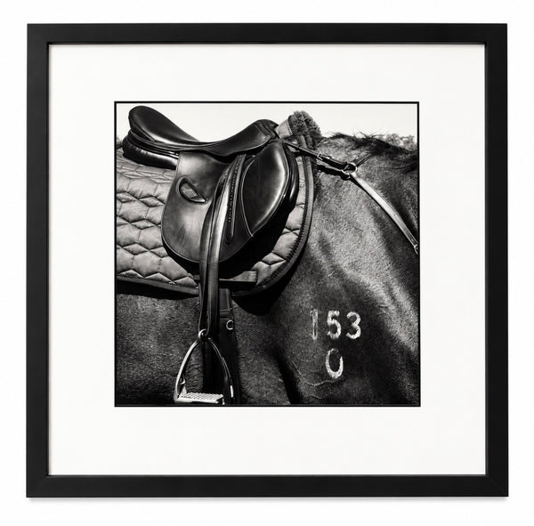 153 by Sue Olliver