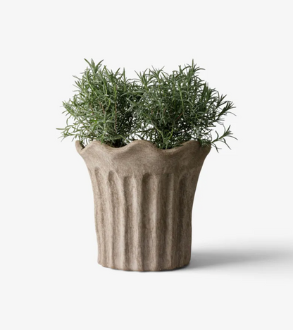 Sand fluted terracotta planter with a rosemary plant on a white background