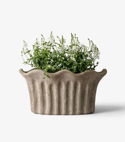 Close view of the Terra Fluted Oval Planter Small in sand terracotta with white flowers