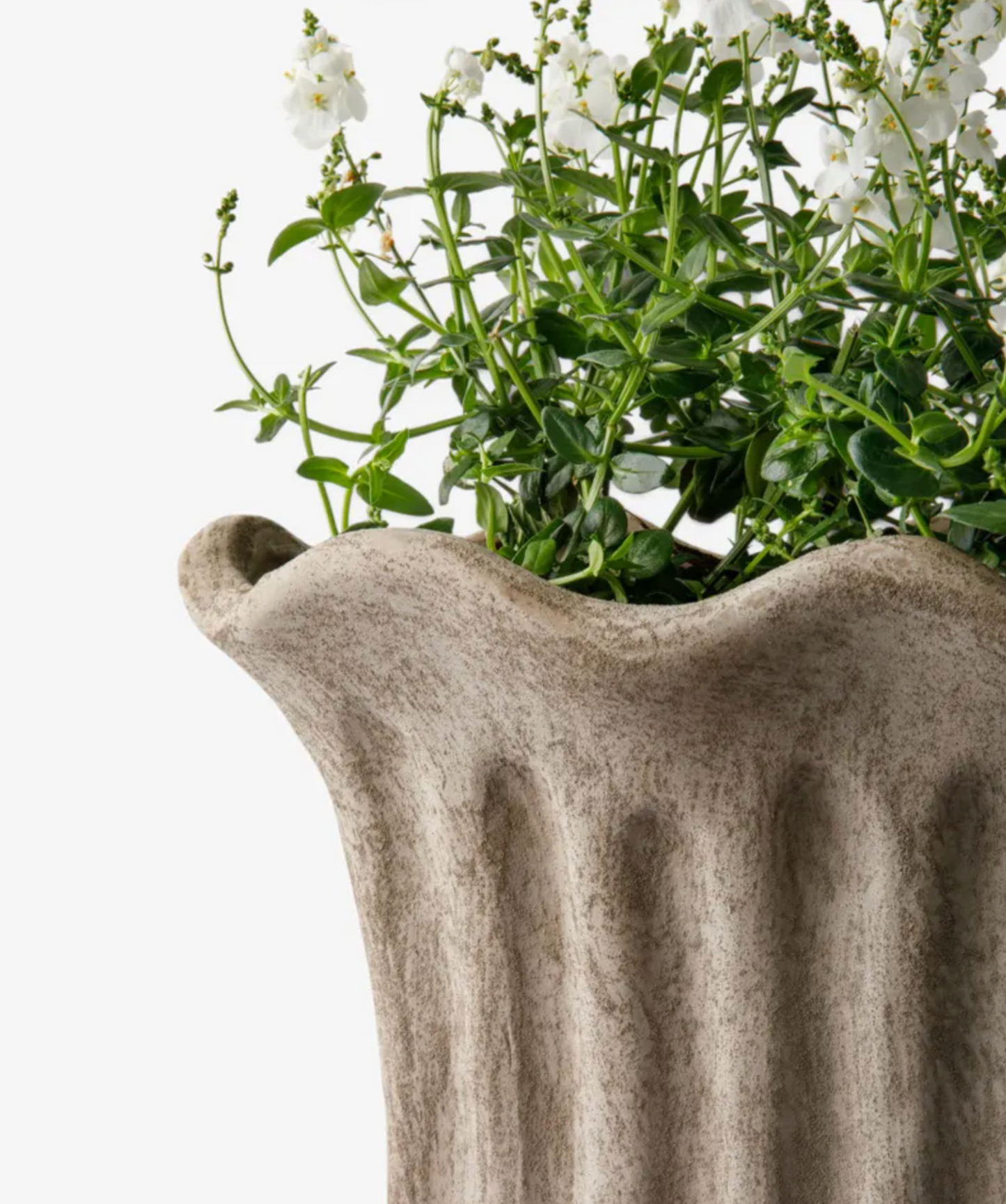 Terra Fluted Oval Planter Large in sand terracotta with white flowers