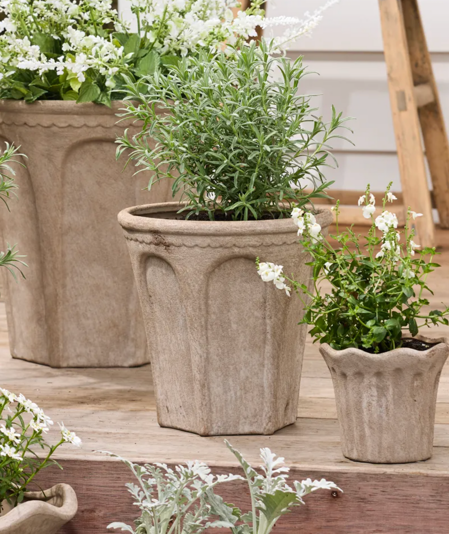 Medium Sand Terra Arc Planter displayed with a rosemary plant in an outdoor setting.