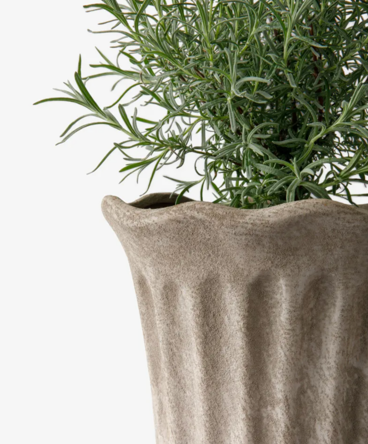 Sand fluted terracotta planters with flowering plants on a wooden surface