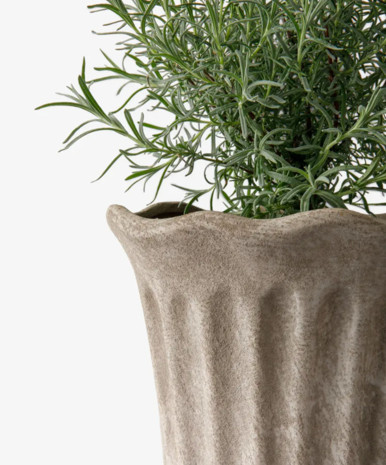 Sand fluted terracotta planters with flowering plants on a wooden surface