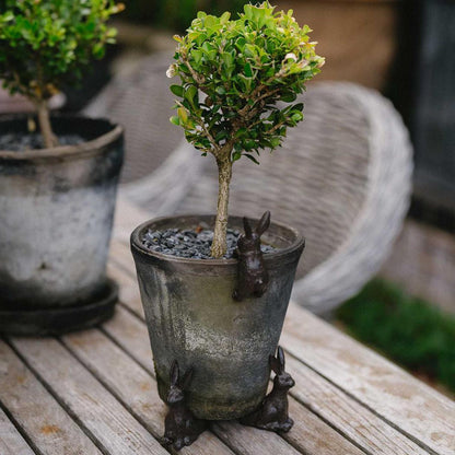 Garden Hare Pot Feet - Set of 3