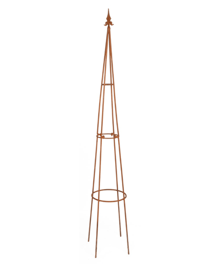 Rust Metal Growing Frame - Pair