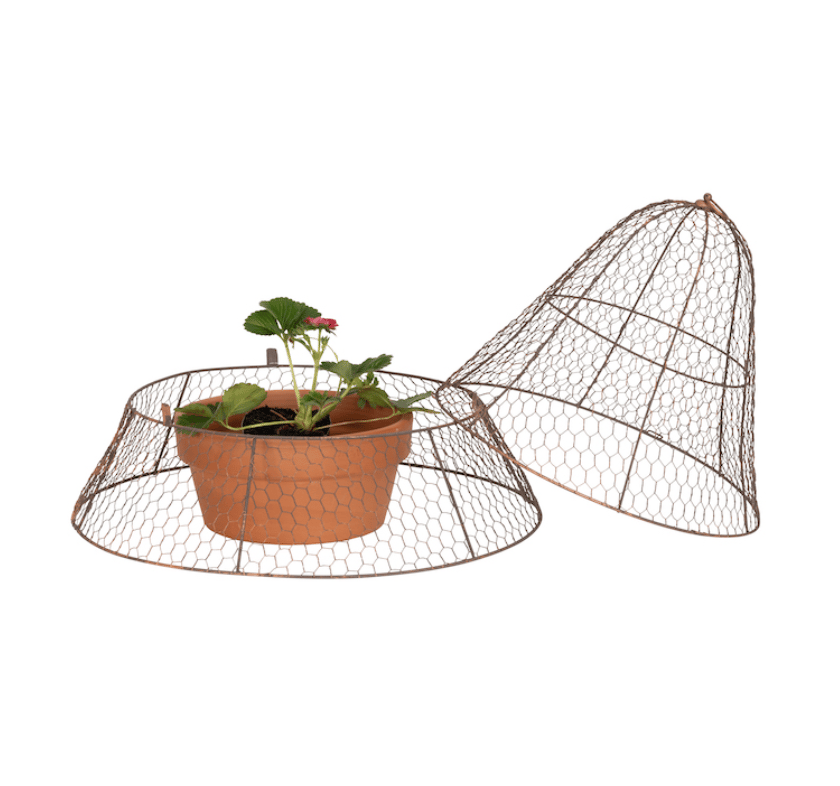 Expandable Garden Cloche