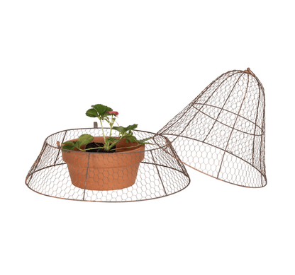 Expandable Garden Cloche