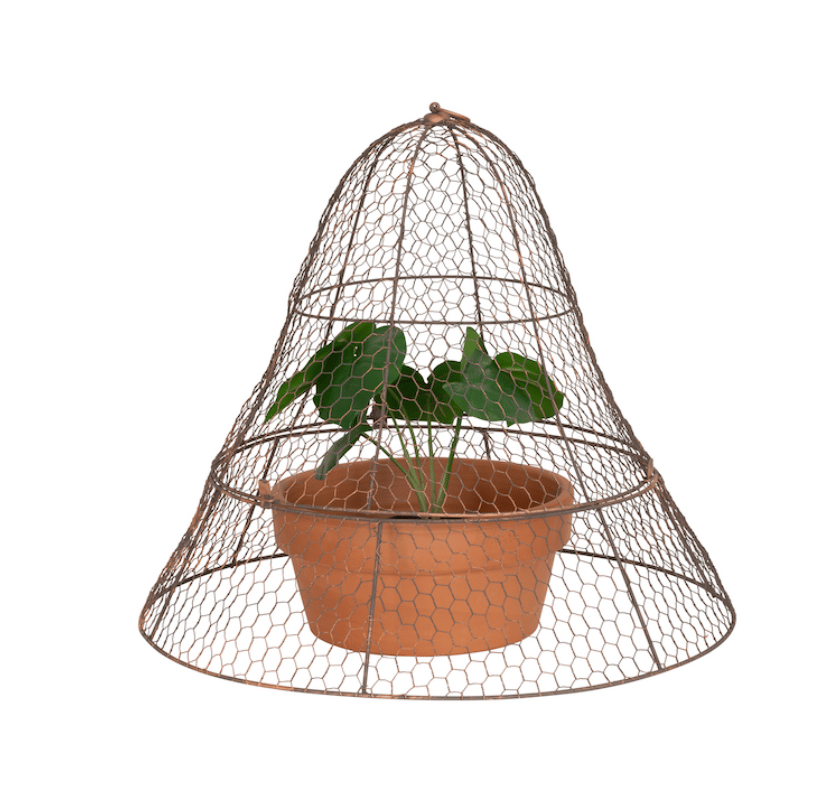Expandable Garden Cloche