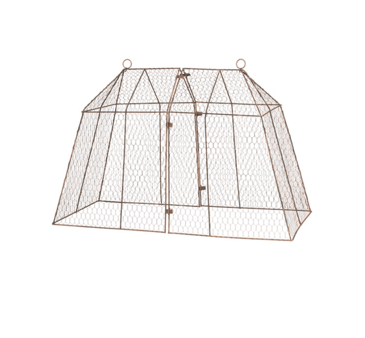 Large Marquee Cloche