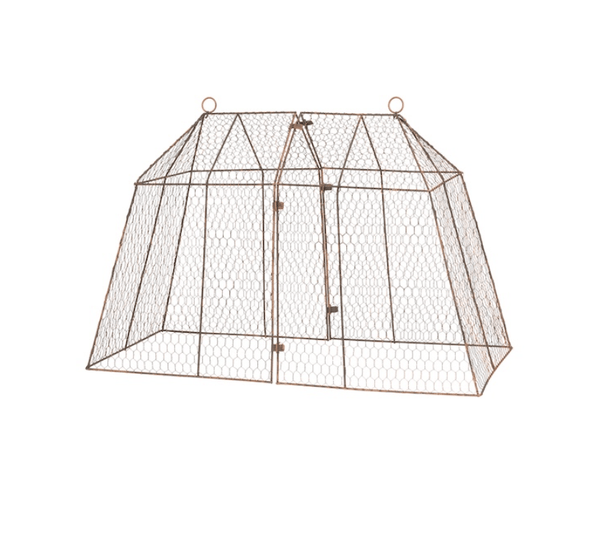 Large marquee cloche - HAROLDS