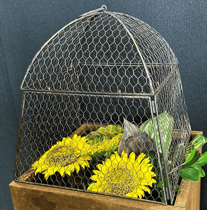 Square Cloche