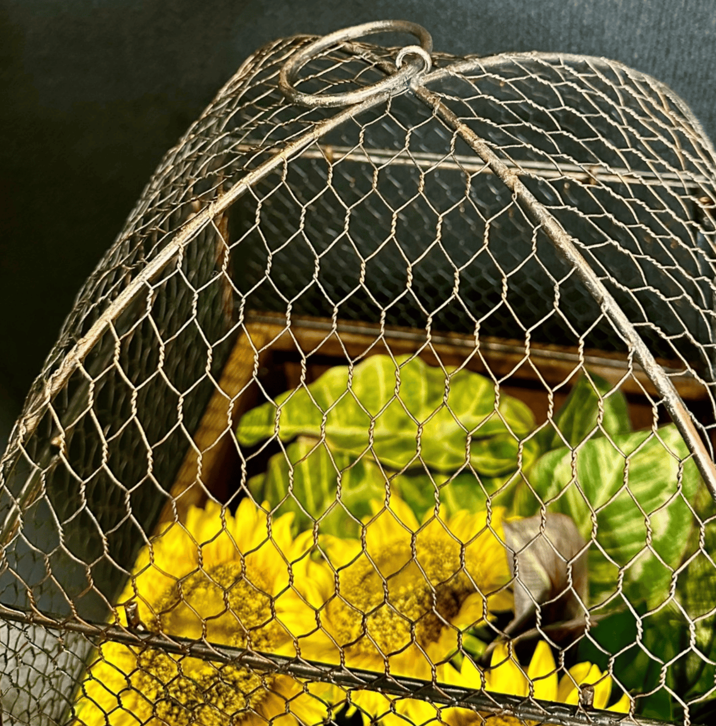 Square Cloche