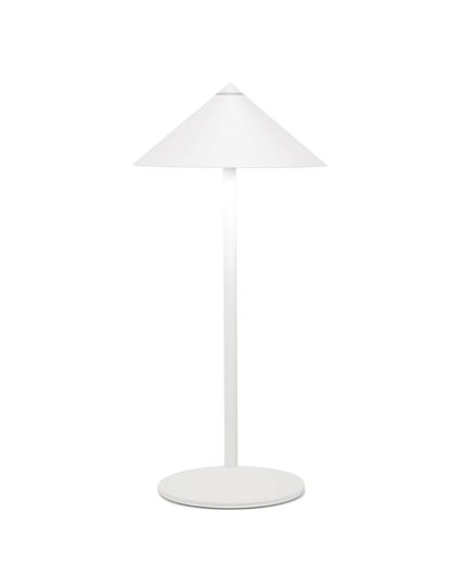 Rechargeable LED Desk Lamp