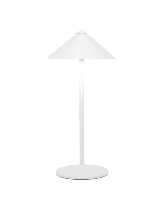 Rechargeable LED Desk Lamp