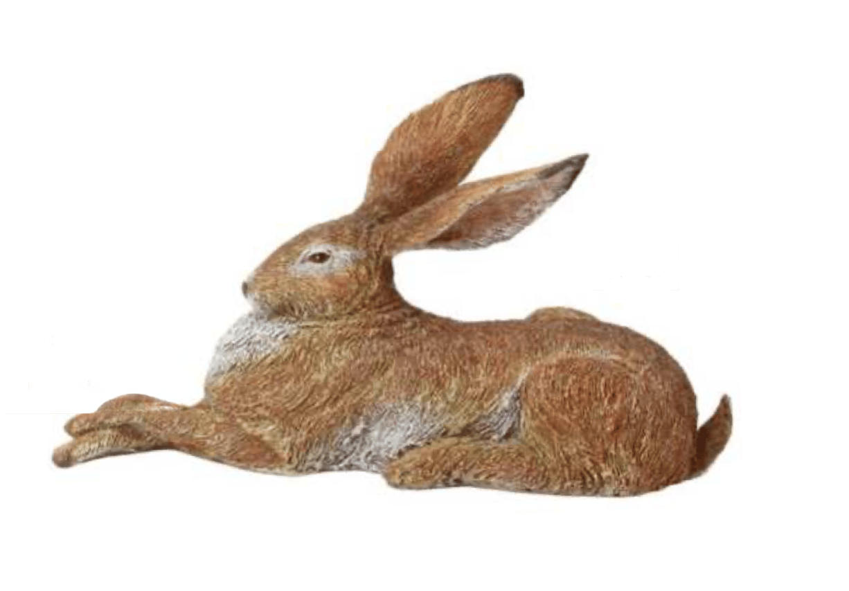 Relaxing Garden Hare
