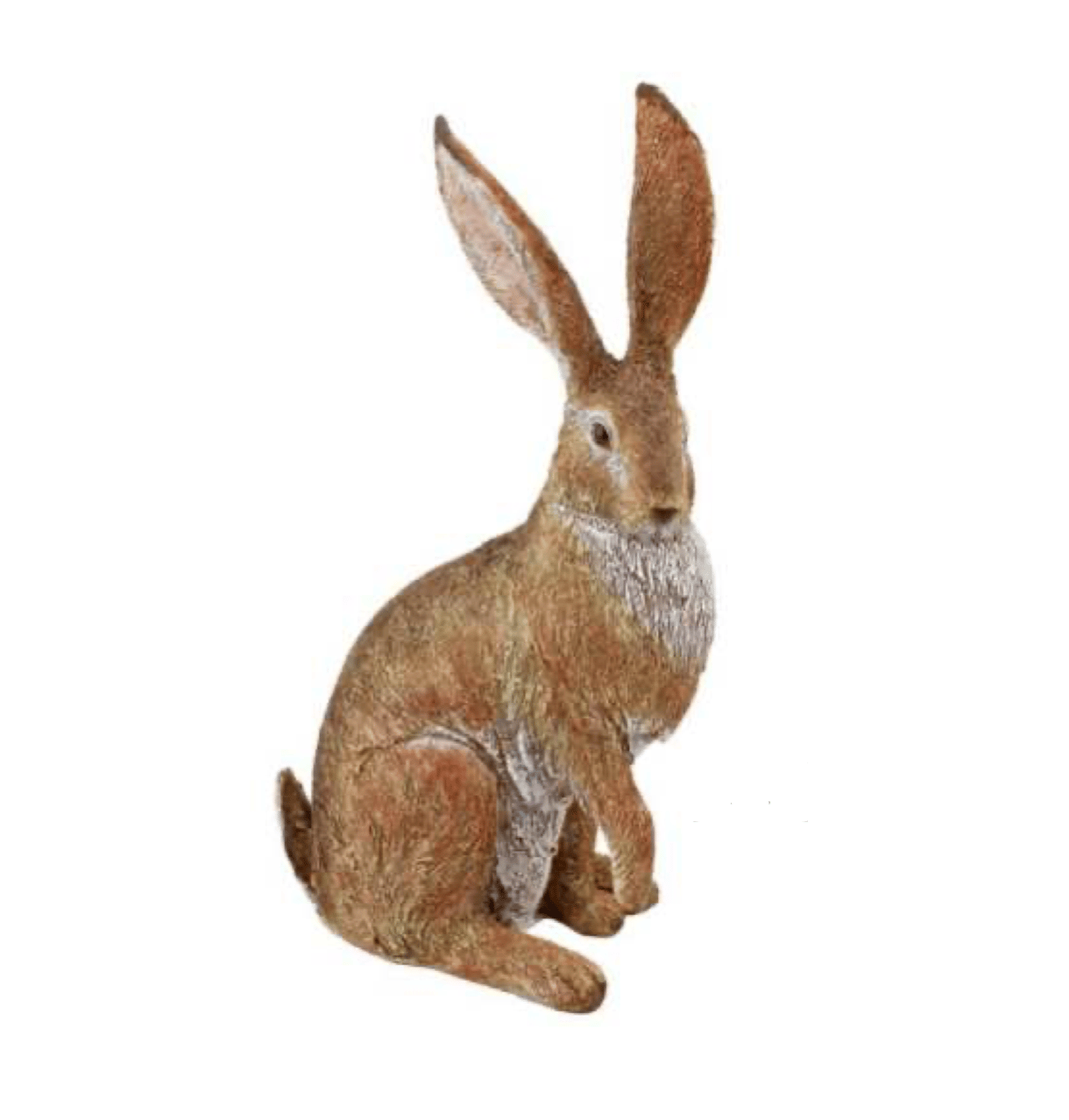 Listening Garden Hare
