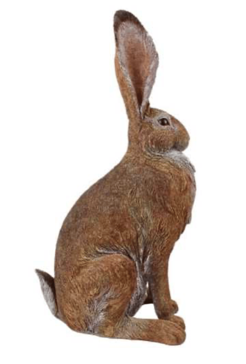 Alert Garden Hare