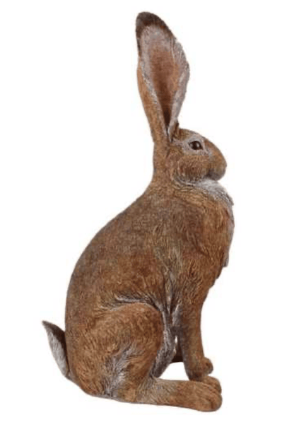 Alert Garden Hare